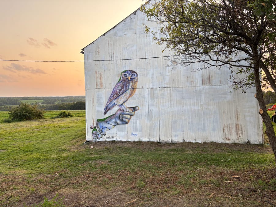 An owl mural at a Tompkins County spot